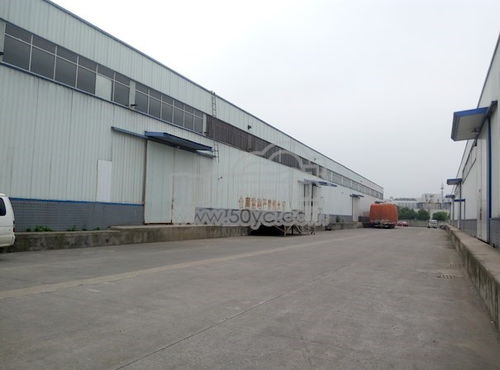 文星鎮(zhèn)川齒路物流園區(qū)高臺(tái)庫(kù)出租 物聯(lián)云倉(cāng)助力智慧倉(cāng)儲(chǔ)新升級(jí)